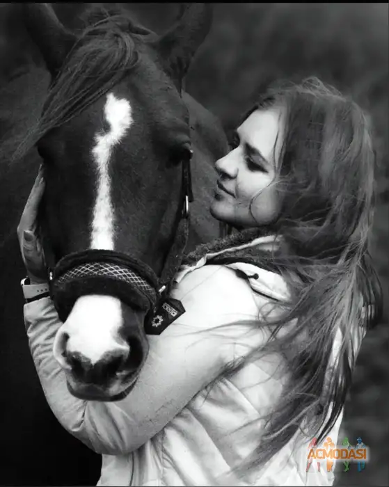 Ирина  Колесникова фото №1939061. Загружено 18 Октября 2025