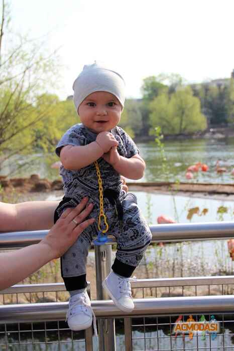 Давид Николаевич Шенгелия фото №1322993. Загружено 20 Мая 2018