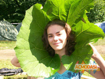 Анна   фото №315432. Загружено 25 Декабря 2012