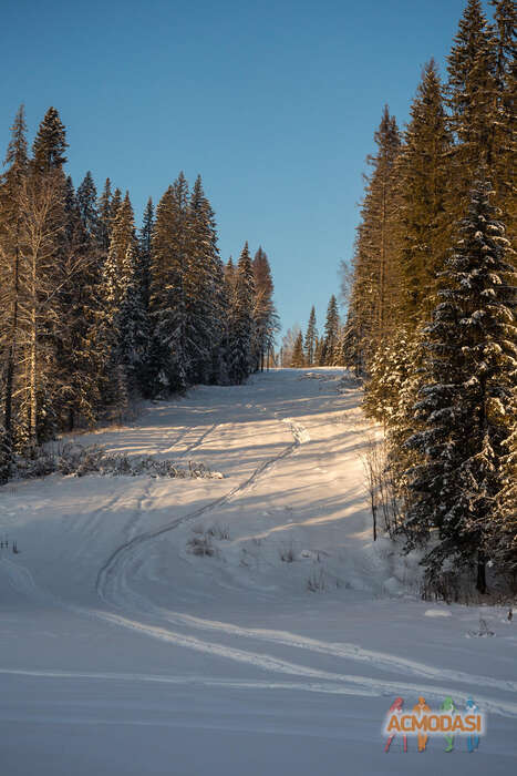 Ольга  Филиппова фото №1836978. Загружено 12 Января 2023