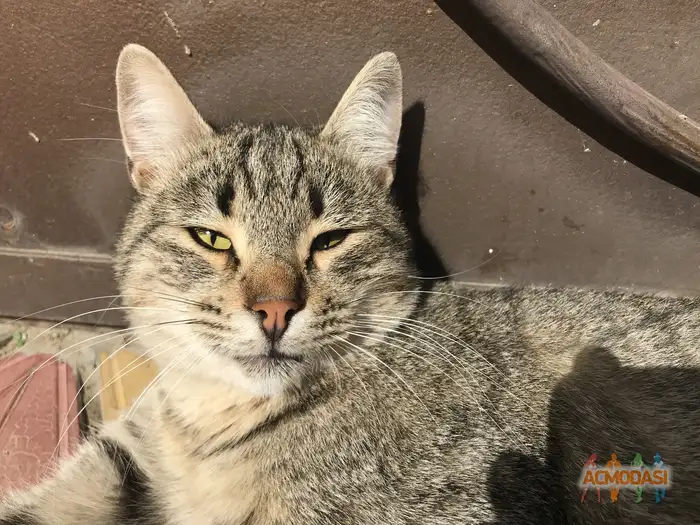 Бариянтусс   фото №1938570. Загружено 13 Октября 2025