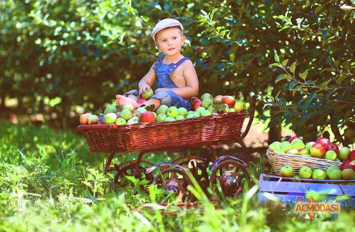 Дмитрий   фото №900225. Загружено 05 Августа 2015