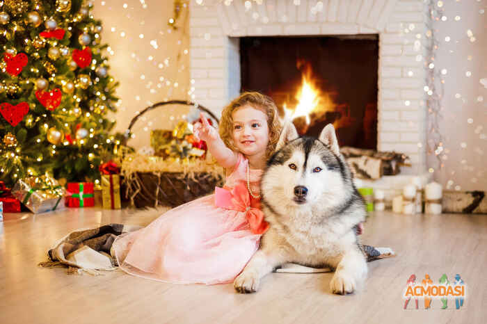 Алиса  Соколова фото №976269. Загружено 09 Января 2016
