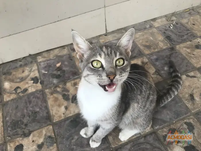 Кристальевна   фото №1938581. Загружено 13 Октября 2025