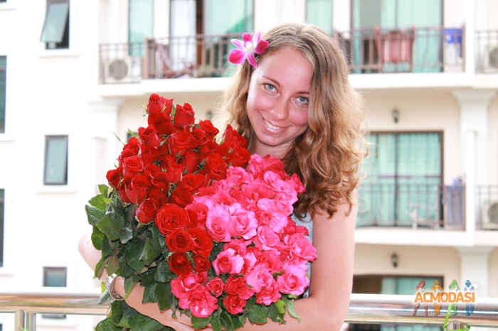 Анна   фото №476626. Загружено 23 Августа 2013