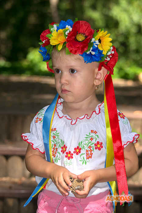 Елена  Шевчук фото №711905. Загружено 17 Августа 2014