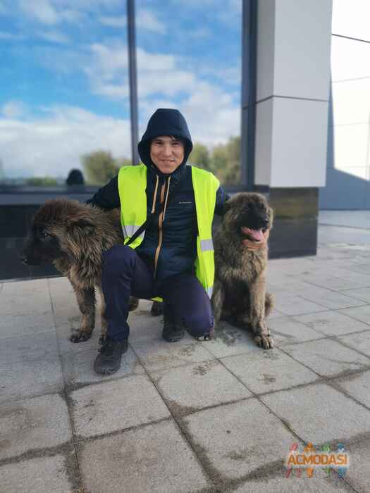 Кирилл Владимирович Спиридонов фото №1650771. Загружено 28 Октября 2020