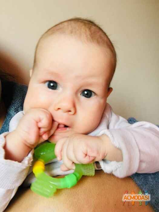 Матвей   фото №1541097. Загружено 19 Ноября 2019