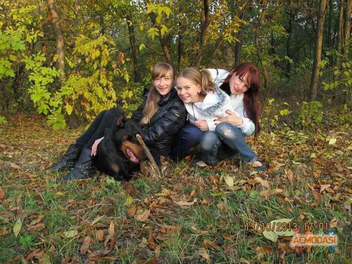 Вероника Олеговна Акимова фото №684420. Загружено 05 Июля 2014