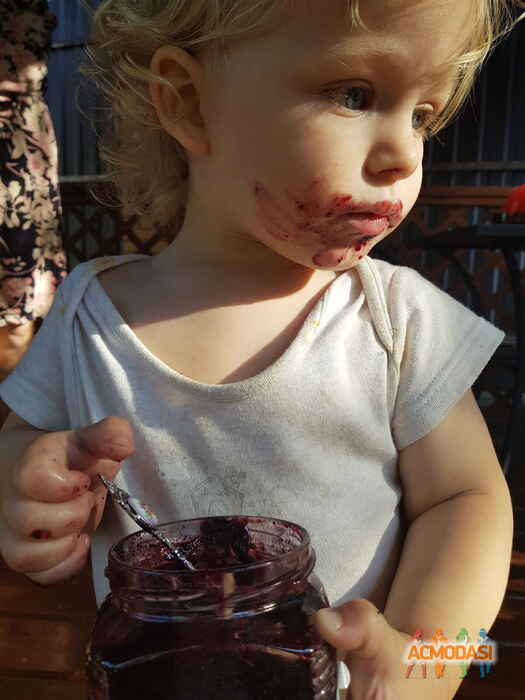 Лев   фото №1487285. Загружено 18 Июля 2019