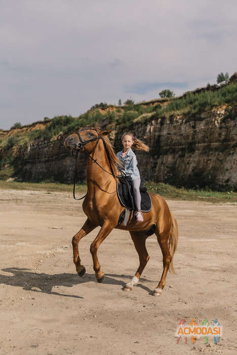 Вероника  Михеева фото №1795504. Загружено 14 Мая 2022