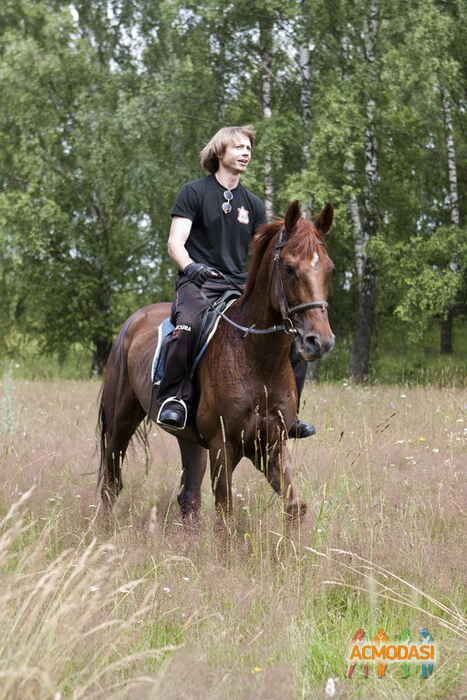 Игорь Евгеньевич Сеньков фото №432751. Загружено 21 Июня 2013