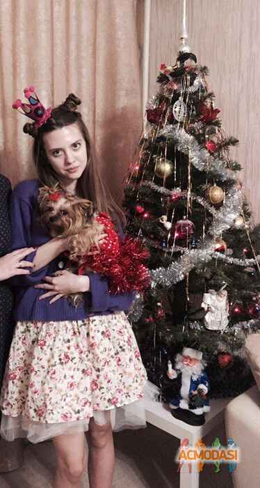 Эллина Дмитриевна Стрижова фото №1135997. Загружено 17 Января 2017