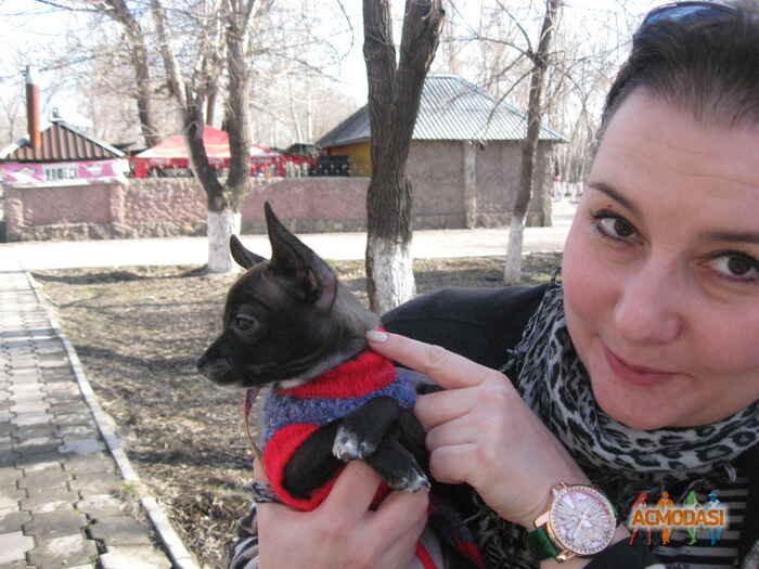 Татьяна  Порчелли фото №863159. Загружено 20 Мая 2015