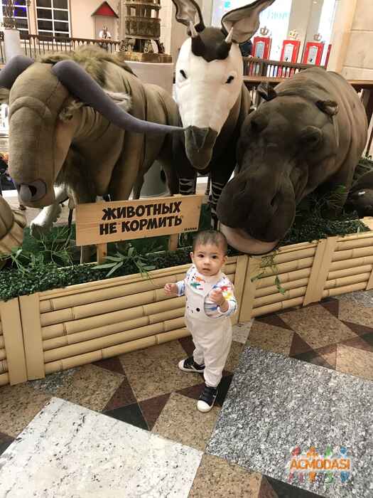 Алишер Рахимович Каримов фото №1588104. Загружено 29 Марта 2020