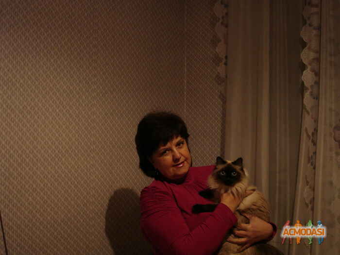 Людмила Ивановна Стёпина фото №149454. Загружено 14 Февраля 2012