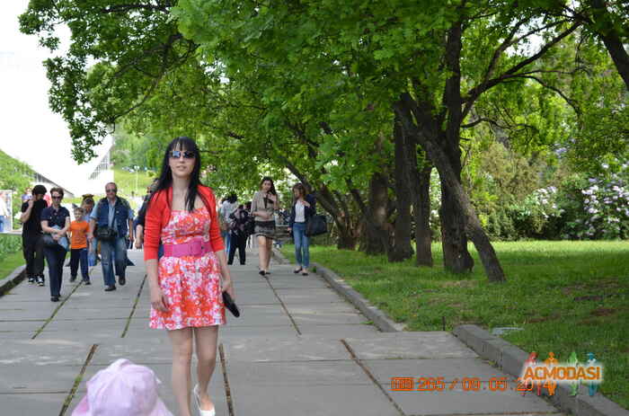 Лилия Григориевна Полывач фото №665347. Загружено 07 Июня 2014