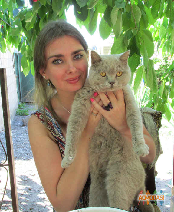 Алена   фото №949516. Загружено 04 Ноября 2015