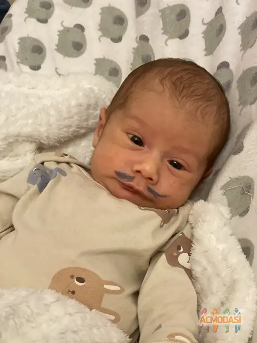 Платон  Остаев фото №1940369. Загружено 03 Ноября 2025