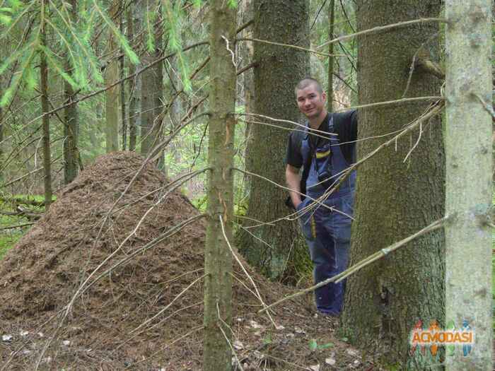 Алексей Александрович Солоев фото №1151414. Загружено 26 Февраля 2017