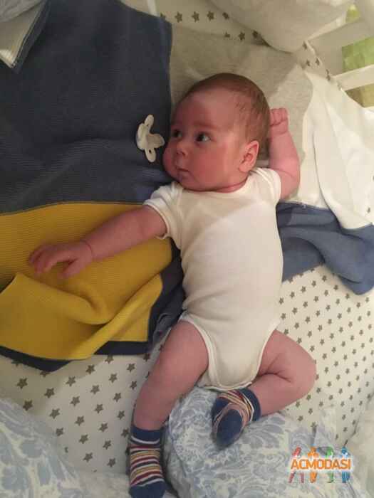 Anna Гочаевна Голодзе фото №1446689. Загружено 13 Апреля 2019