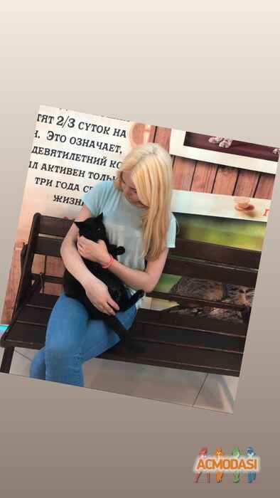 Виктория Анатольевна Шапошникова фото №1478109. Загружено 27 Июня 2019
