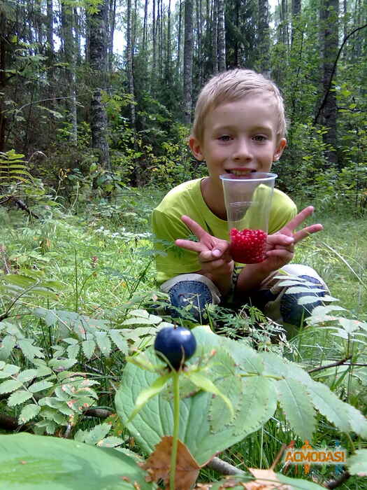 Илья Сергеевич Матковски фото №854086. Загружено 26 Апреля 2015