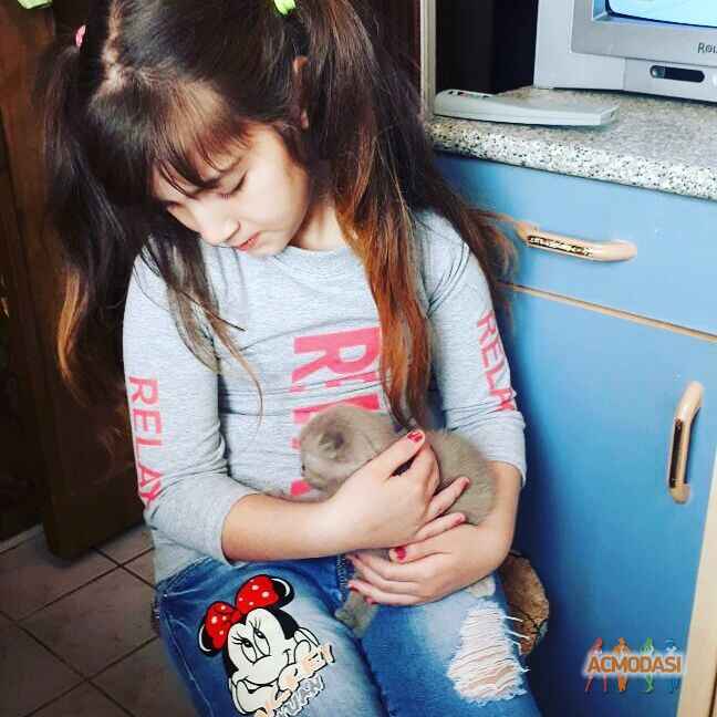 Анэла Альбертовна Ахаминова фото №1202908. Загружено 16 Июля 2017