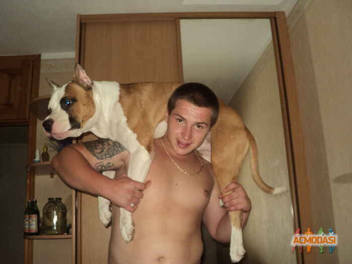 Ярослав Владимирович Литашов фото №773794. Загружено 14 Ноября 2014