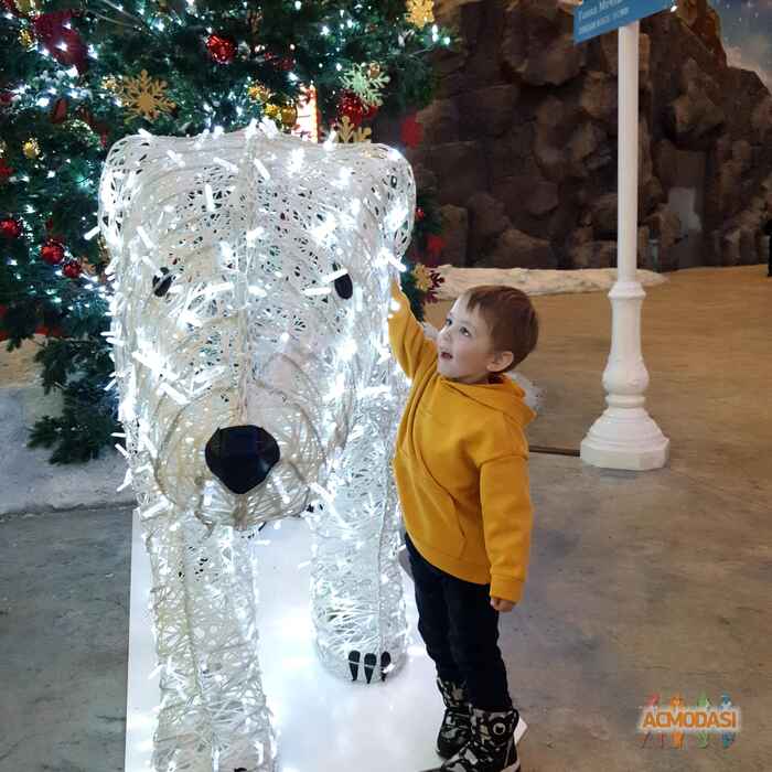 Матвей Анатольевич Нечаев фото №1677387. Загружено 25 Января 2021