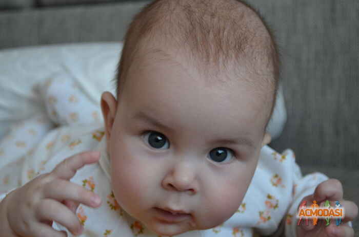 Николай Александрович Касьянов фото №608004. Загружено 03 Марта 2014