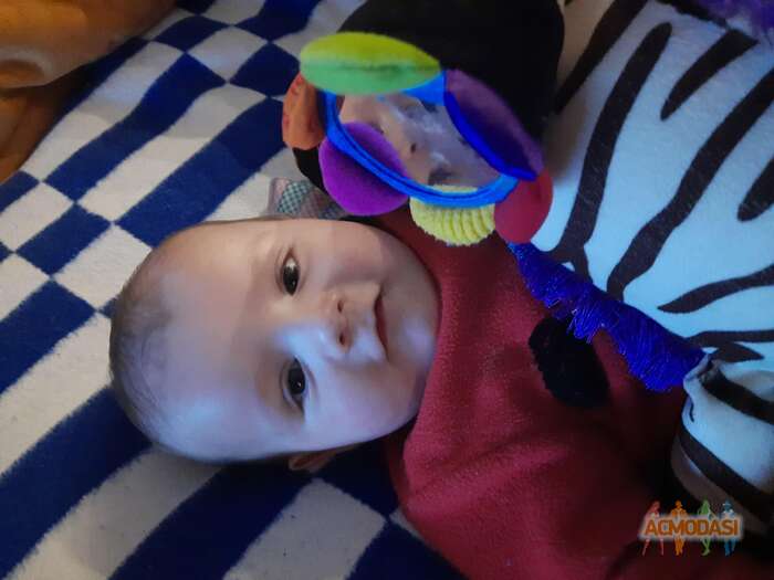 Станислав  Сорока фото №1832716. Загружено 09 Декабря 2022