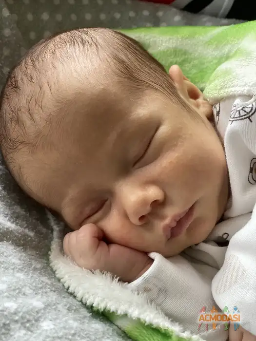 Платон  Остаев фото №1940374. Загружено 03 Ноября 2025