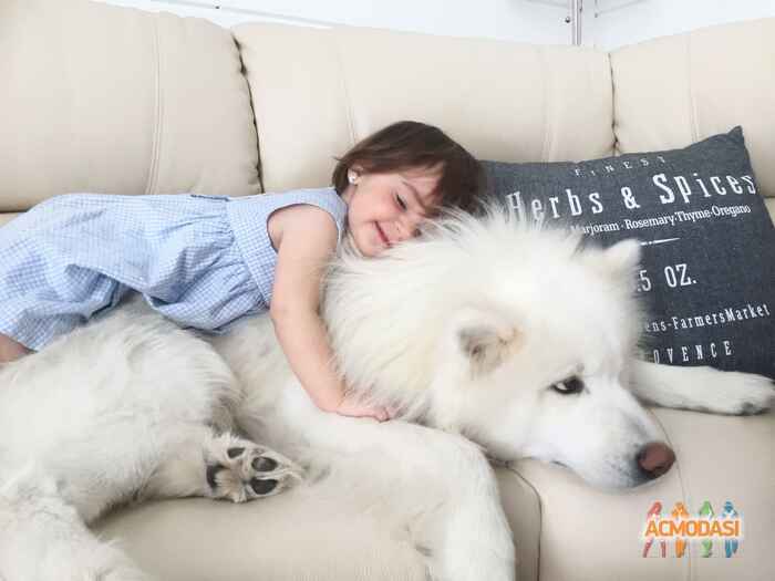 Кристина Вячеславовна Лившиц фото №1312605. Загружено 19 Апреля 2018