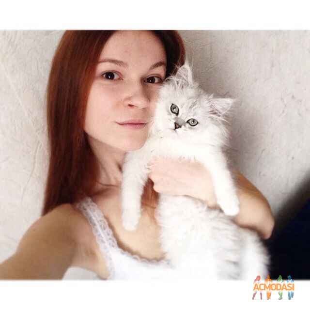 Алина Олеговна Долбилова фото №811757. Загружено 31 Января 2015