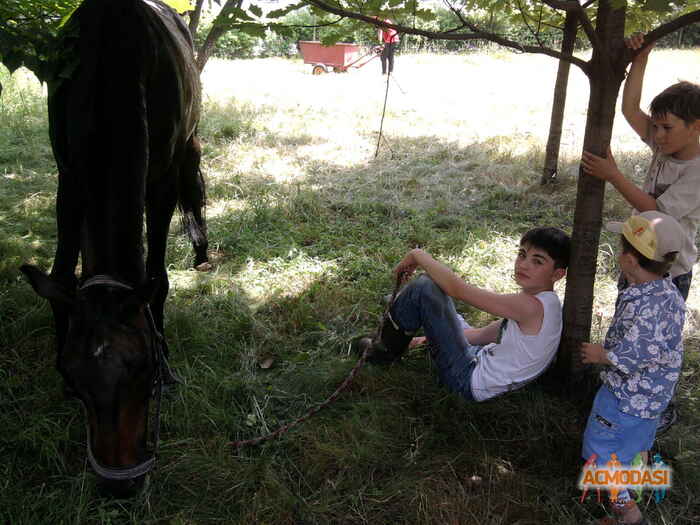 Кантемир Эльбрусович Цаликов фото №285875. Загружено 08 Ноября 2012