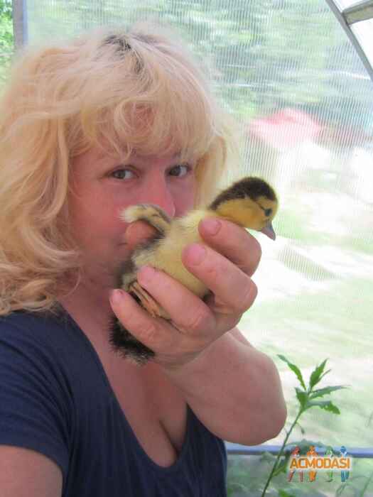 Елена  Коротаева фото №1503898. Загружено 26 Августа 2019