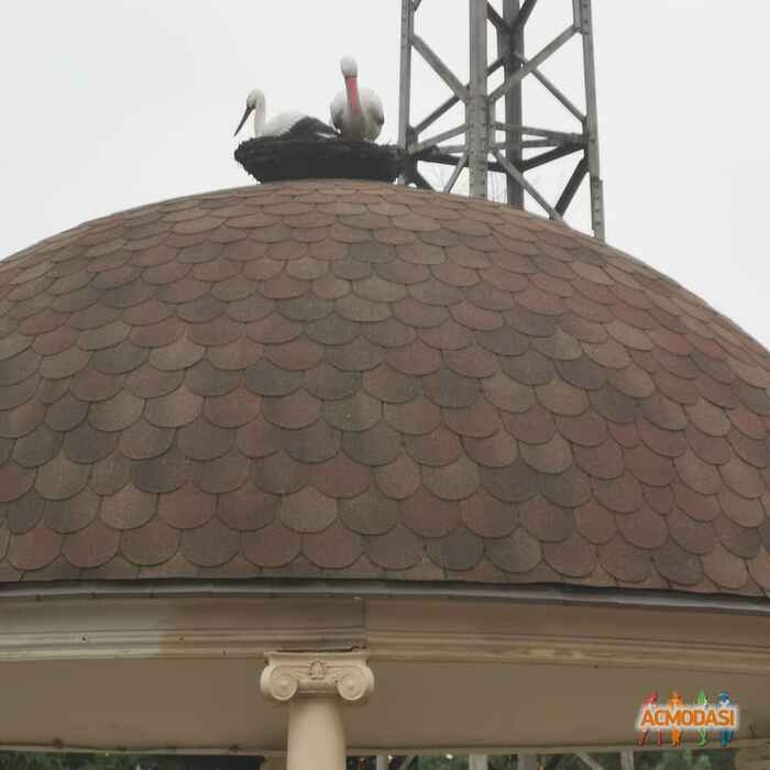 Александра Ивановна Шокот фото №1555356. Загружено 05 Января 2020