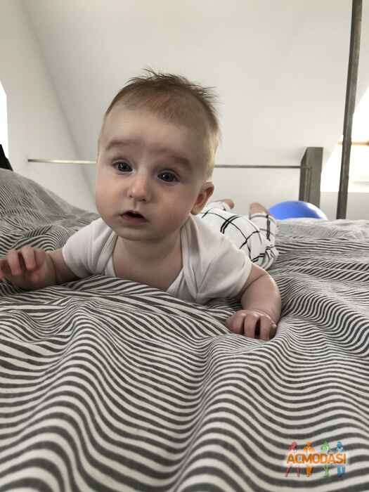 Томмазо  Деллавеккья фото №1202882. Загружено 16 Июля 2017