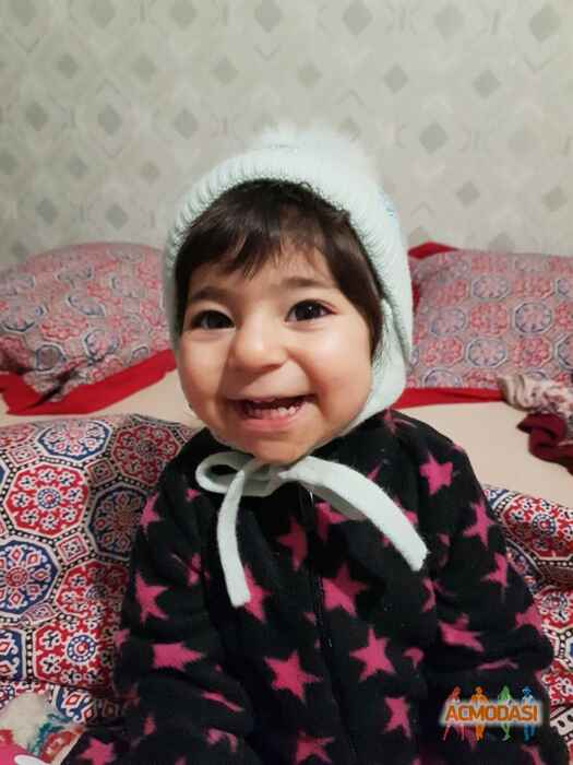 Лилия  Абед фото №1414238. Загружено 19 Января 2019