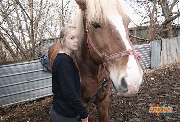 Елена Алексеевна Сокова фото №1605577. Загружено 03 Июня 2020