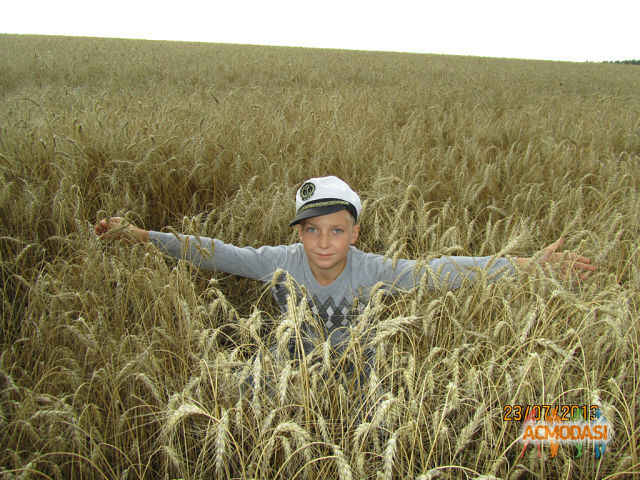 Макарена   фото №610385. Загружено 07 Марта 2014