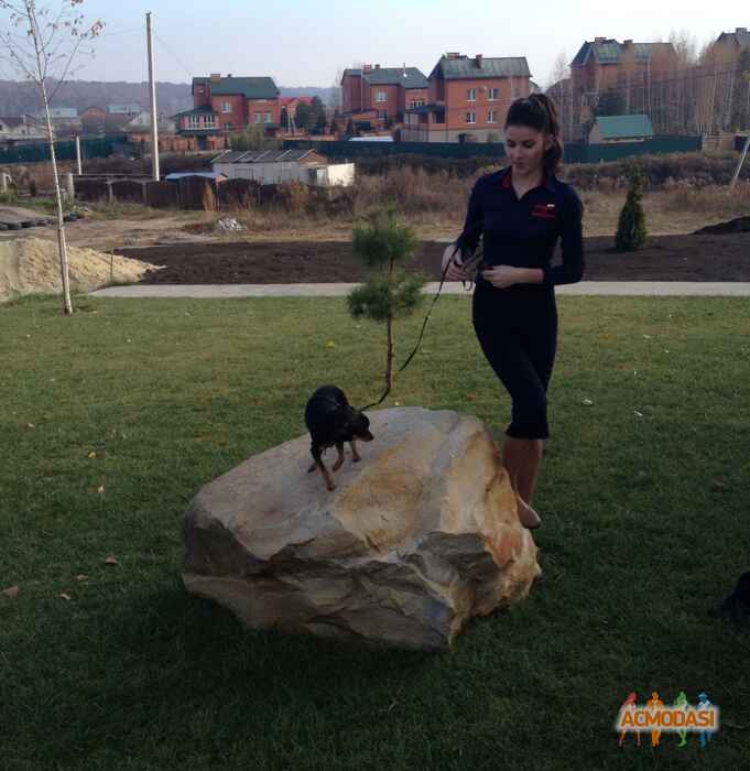 Лина Валерьевна Швец фото №962574. Загружено 01 Декабря 2015