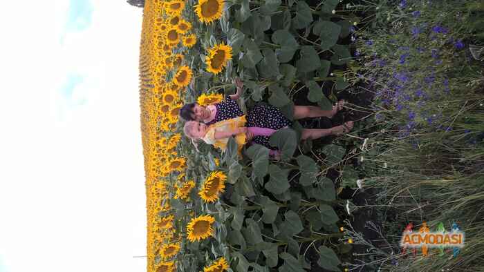 Наталия Викторовна Бровкина фото №897580. Загружено 01 Августа 2015