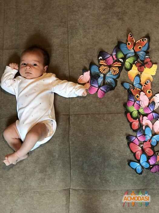 Дмитрий Константинович Баламутов фото №1547785. Загружено 08 Декабря 2019