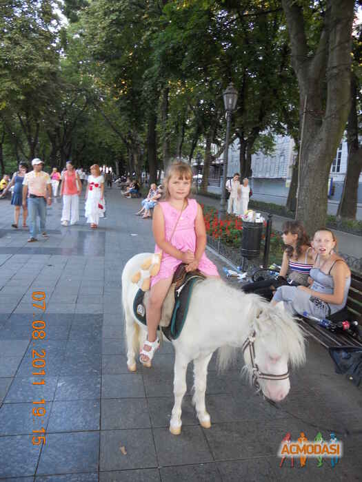 Вероника Александровна Жогло фото №661198. Загружено 30 Мая 2014