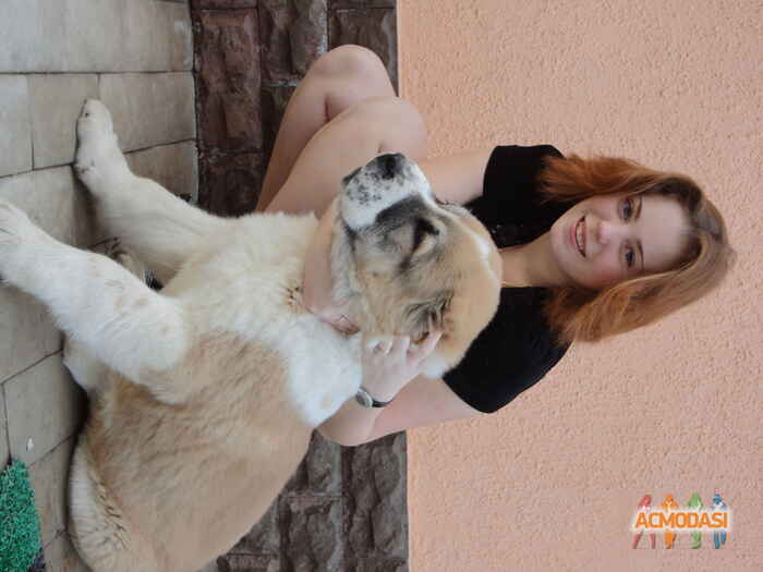 Евгения  Ломовцева фото №179170. Загружено 05 Апреля 2012