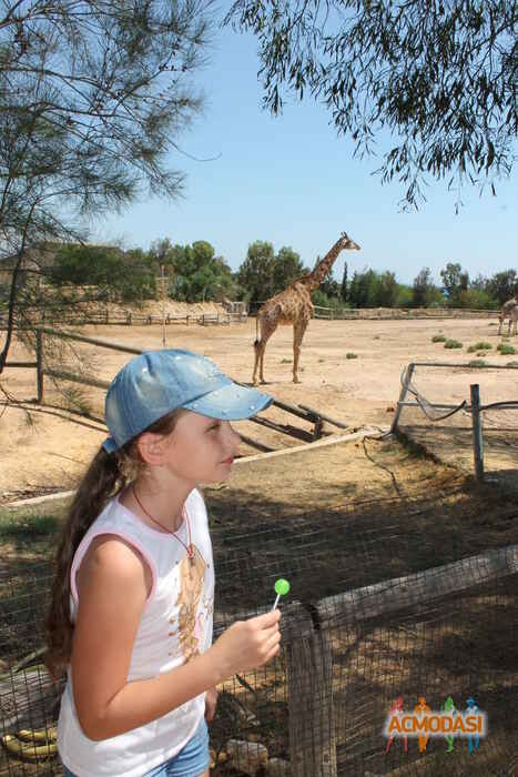 Вера Александровна Чернова фото №1394214. Загружено 15 Ноября 2018