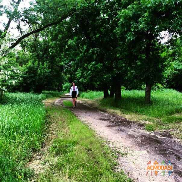 Ksenia  Logvinenko фото №867154. Загружено 31 Мая 2015