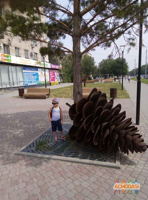 Даниил Сергеевич Драгун фото №1493016. Загружено 29 Июля 2019